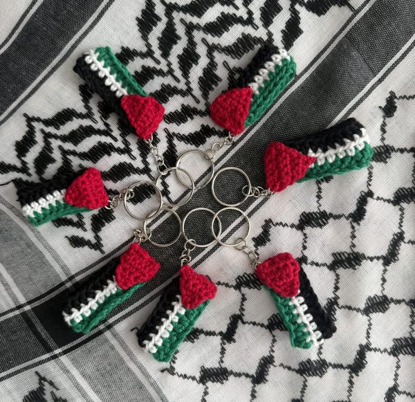 handmade crochet palestine flag keychain